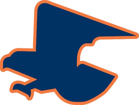 Auburn Tigers 1976-1980 Secondary Logo iron on transfers for clothing